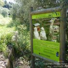 Côte d’Azur / Alpes-Maritimes (06) / Parcs naturels départementaux / Espaces naturels protégés / Nice – Parc du Vinaigrier – Photo n° 14