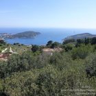 Côte d’Azur / Alpes-Maritimes (06) / Parcs naturels départementaux / Espaces naturels protégés / Nice – Parc du Vinaigrier – Photo n° 18