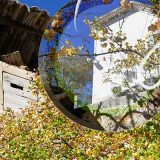 Petit détour par Daluis Village (06470)