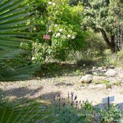 #CotedAzurFrance / Alpes-Maritimes (06) / Nice / Parcs & Jardins / Jardin Botanique de la Ville de Nice – Corniche Fleurie – Botanical Garden of Nice – Photo n°20