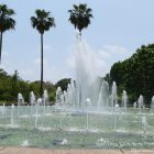 #CotedAzurFrance / Alpes-Maritimes (06) / Nice / Parcs & Jardins / Visite du Parc Phoenix à Nice. Vivez toutes les couleurs de la nature ! – Photo n°25