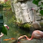 #CotedAzurFrance / Alpes-Maritimes (06) / Nice / Parcs & Jardins / Visite du Parc Phoenix à Nice. Vivez toutes les couleurs de la nature ! – Photo n°54