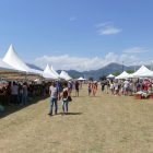 #CotedAzurFrance / Alpes-Maritimes (06) / Levens / Manifestations & Festivités / Fête du Cheval Levens 2017 – 29 et 30 juillet 2017 – Grand pré de Levens – Photo n°7