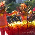 Fête du Mimosa 2016 – Mandelieu-La-Napoule – La Fête du Mimosa célèbre Jules Verne – Photo n° 18 – 06 Only