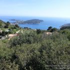 Côte d’Azur / Alpes-Maritimes (06) / Parcs naturels départementaux / Espaces naturels protégés / Nice – Parc du Vinaigrier – Photo n° 17