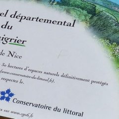 Parc du Vinaigrier – Parc naturel départemental
