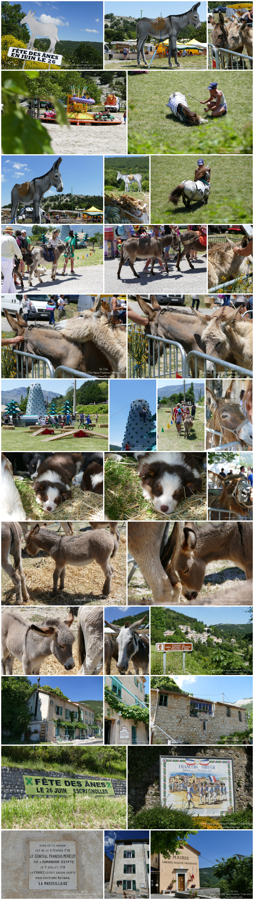 Fête aux Ânes à Escragnolles