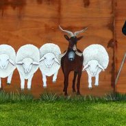 Alpes-Maritimes (06) / Arrière-pays / Fête Saint-Étienne de Tinée (06660) / Fête des bergers et de la transhumance 2016 - 06 Only