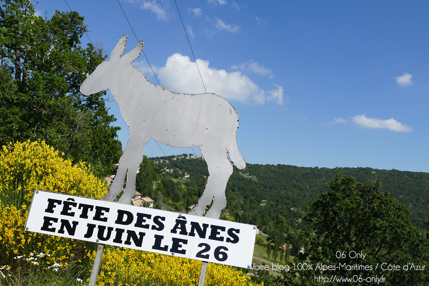Alpes-Maritimes / Arrière-pays / Festivités / Escragnolles (06460) / Fête aux ânes à Escragnolles – Dimanche 26 juin 2016 – Photo n°1