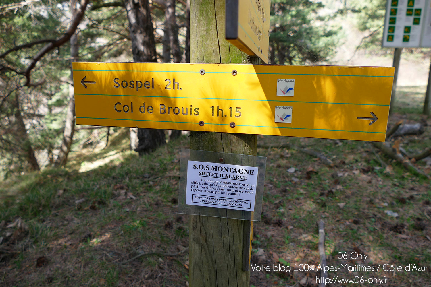#Alpes-Maritimes (06) / Breil-sur-Roya – Sospel / Côté Nature / Outdoor / Randonnée / Mont Gros – Randonnée pédestre au départ du Col de Brouis – Photo n°21