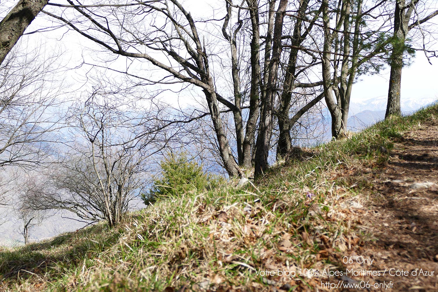 #Alpes-Maritimes (06) / Breil-sur-Roya – Sospel / Côté Nature / Outdoor / Randonnée / Mont Gros – Randonnée pédestre au départ du Col de Brouis – Photo n°25
