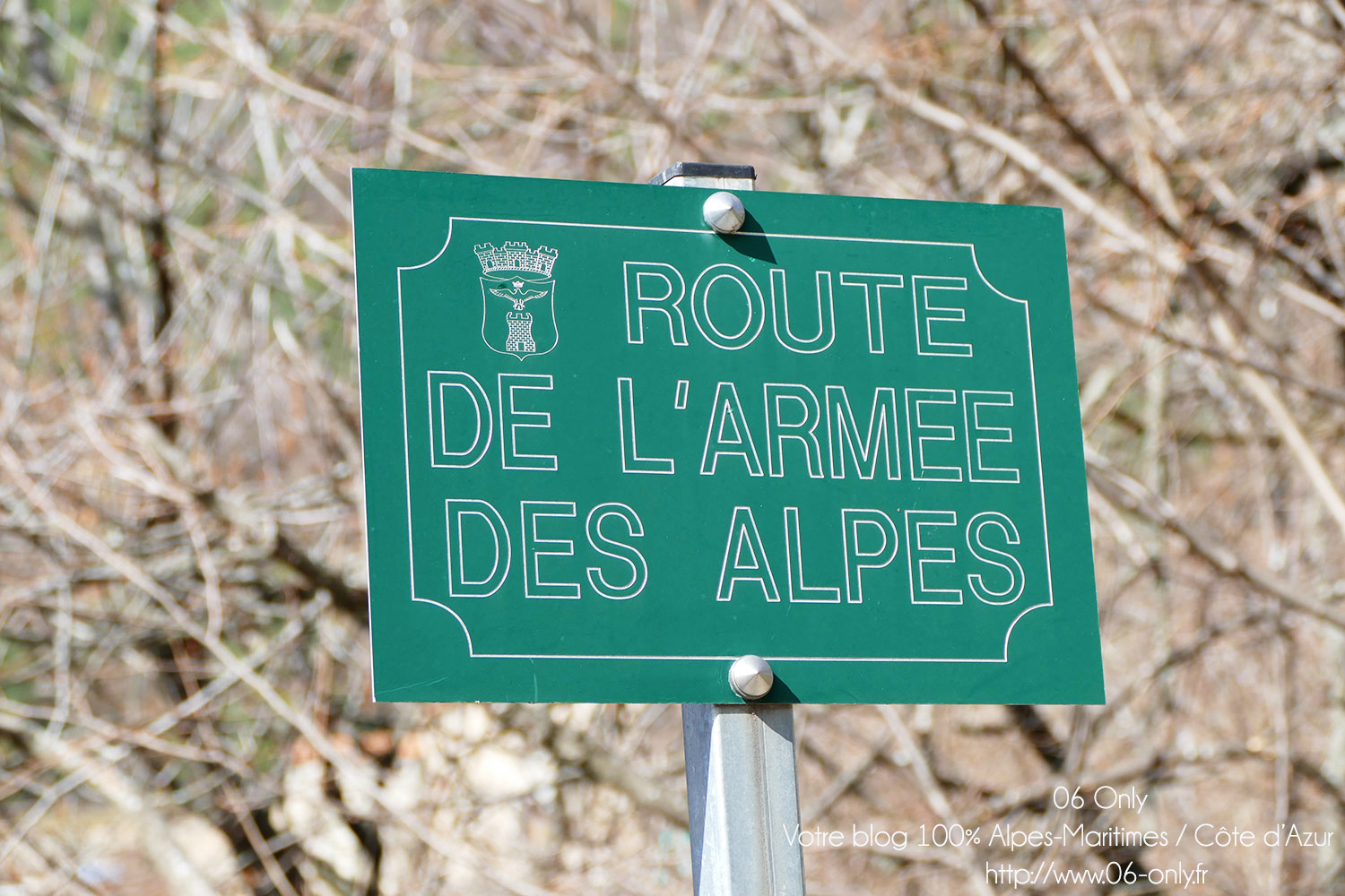#Alpes-Maritimes (06) / Breil-sur-Roya – Sospel / Côté Nature / Outdoor / Randonnée / Mont Gros – Randonnée pédestre au départ du Col de Brouis – Photo n°9