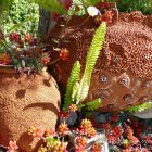 #CotedAzurFrance / Alpes-Maritimes (06) / Gattières / Visites & Découvertes  / Parcs & Jardins / Jardin des fleurs de poterie – Labellisé Jardin remarquable – Photo n° 45