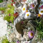#CotedAzurFrance / Alpes-Maritimes (06) / Gattières / Visites & Découvertes  / Parcs & Jardins / Jardin des fleurs de poterie – Labellisé Jardin remarquable – Photo n° 83