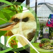 #CotedAzurFrance / Alpes-Maritimes (06) / Nice / Parcs & Jardins / Visite du Parc Phoenix Nice. Vivez toutes les couleurs de la nature !