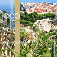 #CotedAzurNow / French Riviera / Principauté de Monaco / Parcs & Jardins / Jardin Exotique de Monaco - Septembre 2017