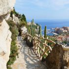 #CotedAzurNow / French Riviera / Principauté de Monaco / Parcs & Jardins / Jardin Exotique Monaco – Septembre 2017 – Photo n°28