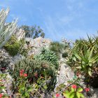 #CotedAzurNow / French Riviera / Principauté de Monaco / Parcs & Jardins / Jardin Exotique Monaco – Septembre 2017 – Photo n°36