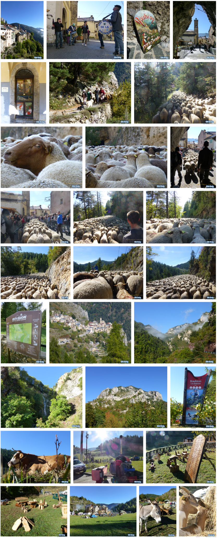 Fête de la Transhumance Roubion