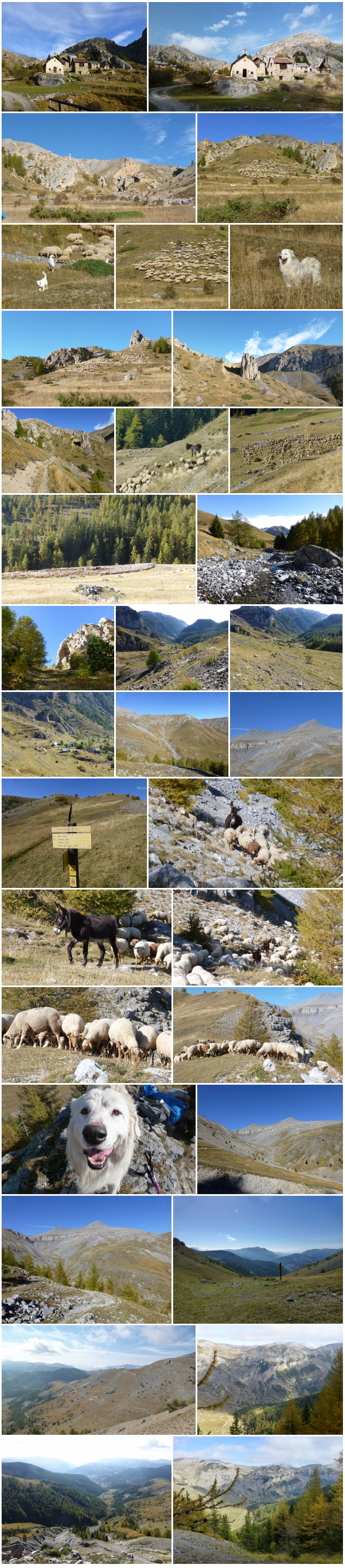 Hameau de Vignols Alpes-Maritimes 
