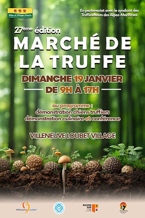 Marché de la Truffe