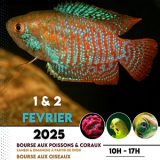 Salon Azuréen de l’Aquariophilie