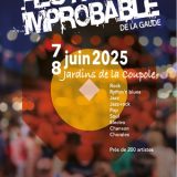 Festival Improbable