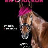 Meeting Hippique d’hiver