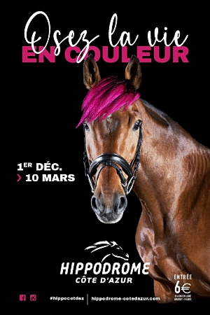 Meeting Hippique d'hiver