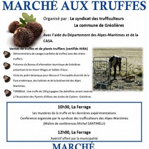 Marché aux Truffes