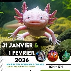 Salon Azuréen de l’Aquariophilie