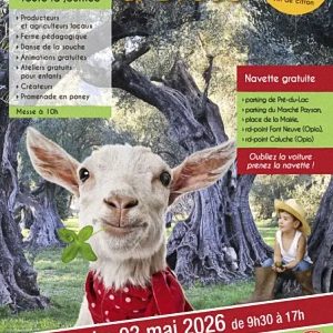Fête agricole du Brusc