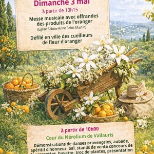 Fête de la fleur d&rsquo;Oranger