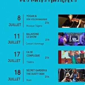 Nuits Musicales du Château