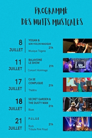 Nuits Musicales du Château