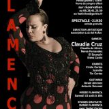 Festival Flamenco