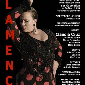 Festival Flamenco