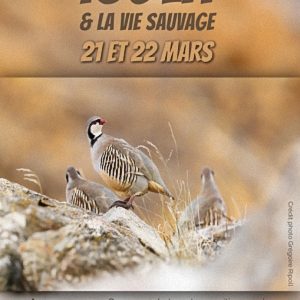 Isola et la vie sauvage