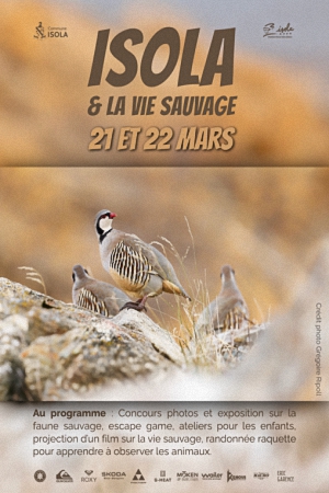 Isola et la vie sauvage